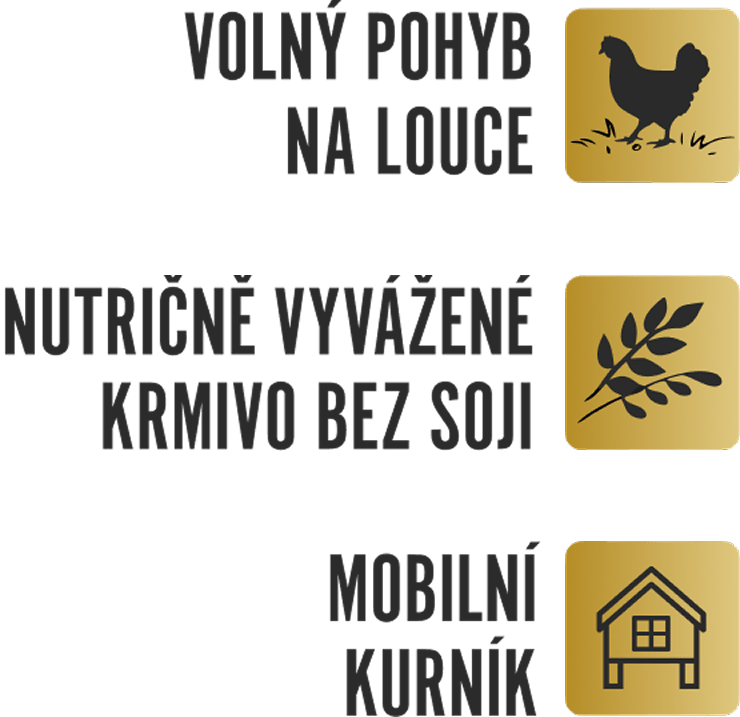 Volný pohyb na louce, nutričně vyvážené krmivo bez soji a mobilní kurník.