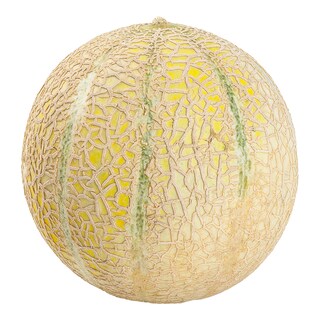 Meloun cukrový Cantaloupe