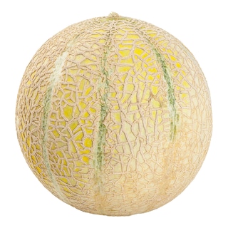 Meloun cukrový Cantaloupe