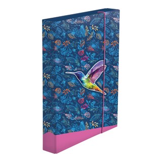 Activa Box na sešity A5 Jumbo Kolibřík