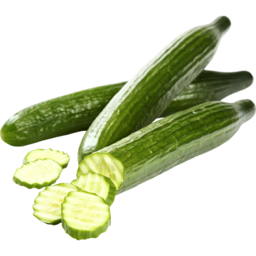 Zelenina