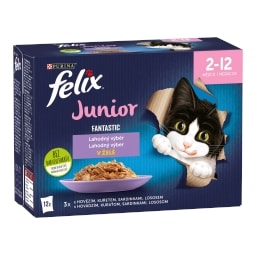 Felix Fantastic Junior multipack různé druhy