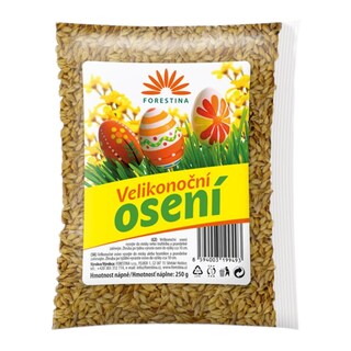Velikonoční osení Ječmen jarní