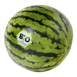Bio meloun vodní mini