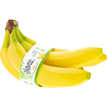 Ovoce