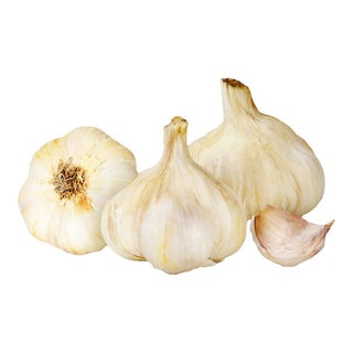 Česnek volný