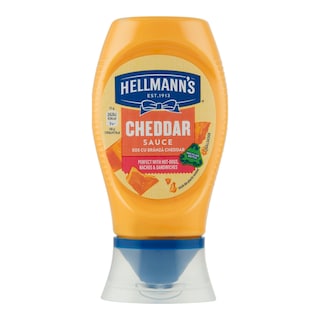 Hellmann´s Cheddarová omáčka