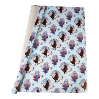 Albi Papír vánoční 2 m dětský motiv frozen