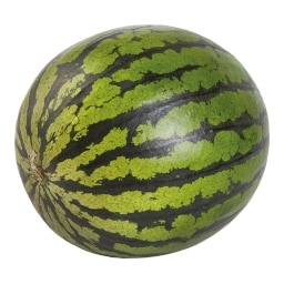 Meloun vodní mini