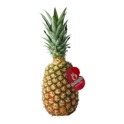 Ananas velký