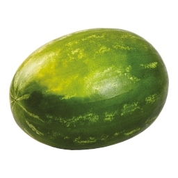 Meloun vodní s nízkým obsahem semen