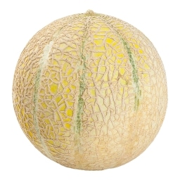 Meloun cukrový Cantaloupe