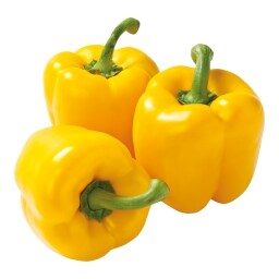 Paprika žlutá