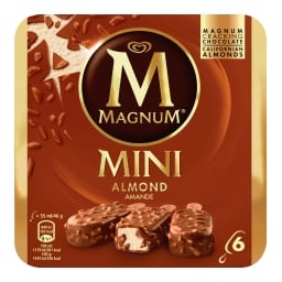 Magnum Mini Almond