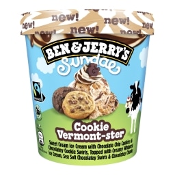 Ben & Jerrys Sundaes Cookie Vermonster