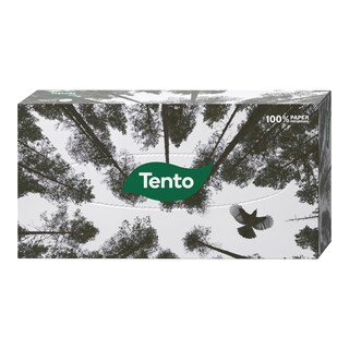 Tento Kapesníčky kosmetické dvouvrstvé