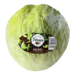 Lis­to­vá ze­le­ni­na a sa­lá­ty