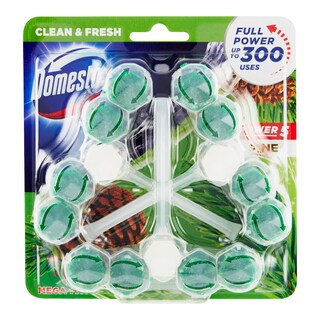 Domestos Power 5 Tuhý WC blok borovice