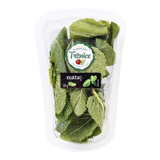 Albert Máta řezaná