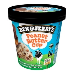 Ben & Jerry's Peanut Butter Cup