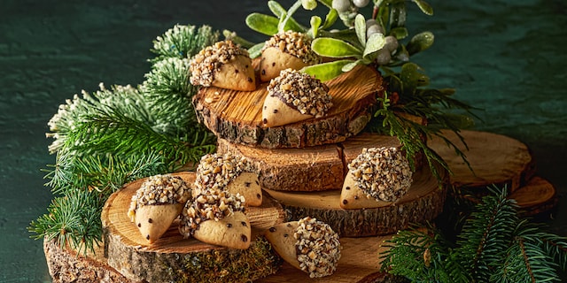 Ježečci s kouzelnými bodlinami