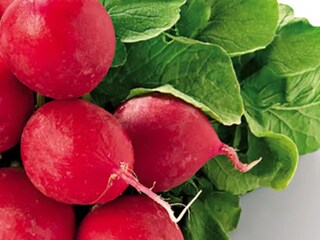 Jednoduchá ředkvičková pomazánka