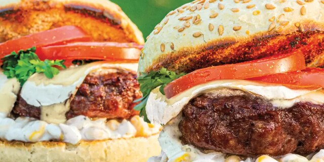 Bio hovězí burger od a do z