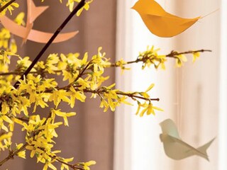 S chutí do jarního tvoření - pestrobarevní ptáčci