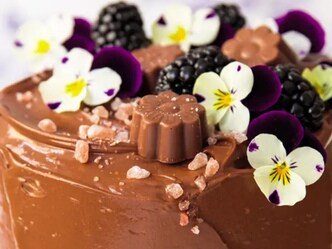 Sametově čokoládový roládový dort