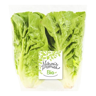 Bio Little gem salát