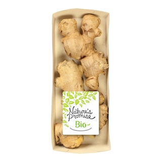 Nature's Promise Bio Zázvor