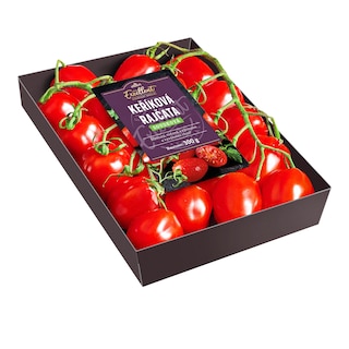 Albert Excellent Rajčata soudková keříková