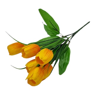 Tulipán puget 6 květů, žíhané