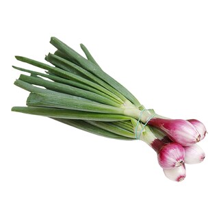 Cibule lahůdková červená