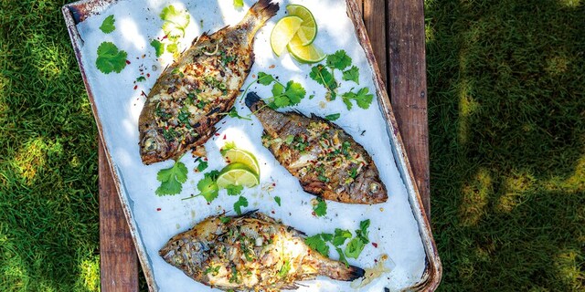 Grilovaná pražma s kořením pěti vůní