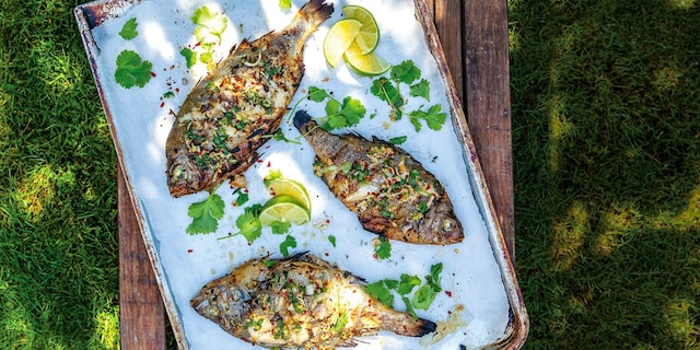 Grilovaná pražma s kořením pěti vůní