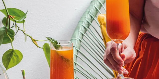 Karotková mimosa