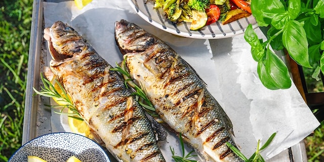 Grilovaný mořský vlk