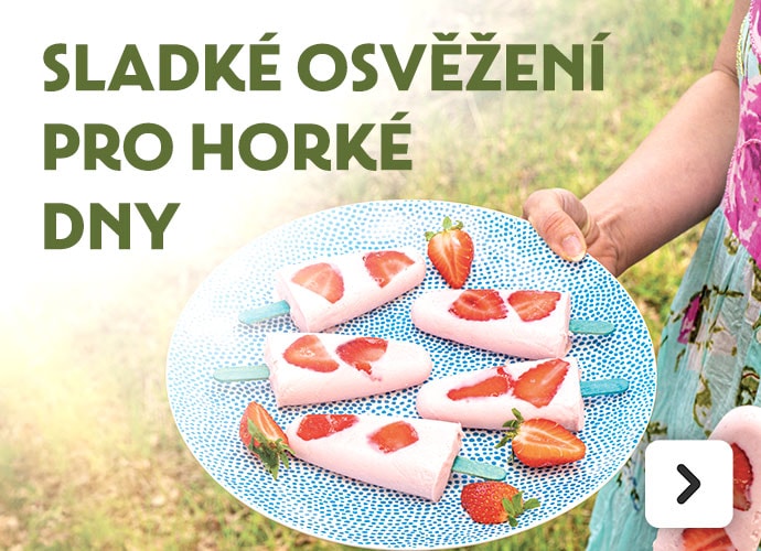Zmrzlinová nabídka