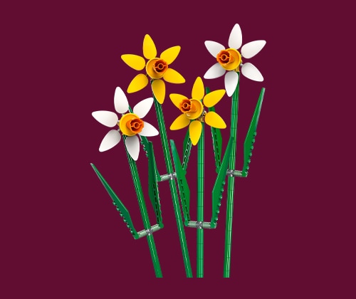 LEGO® Narcisy