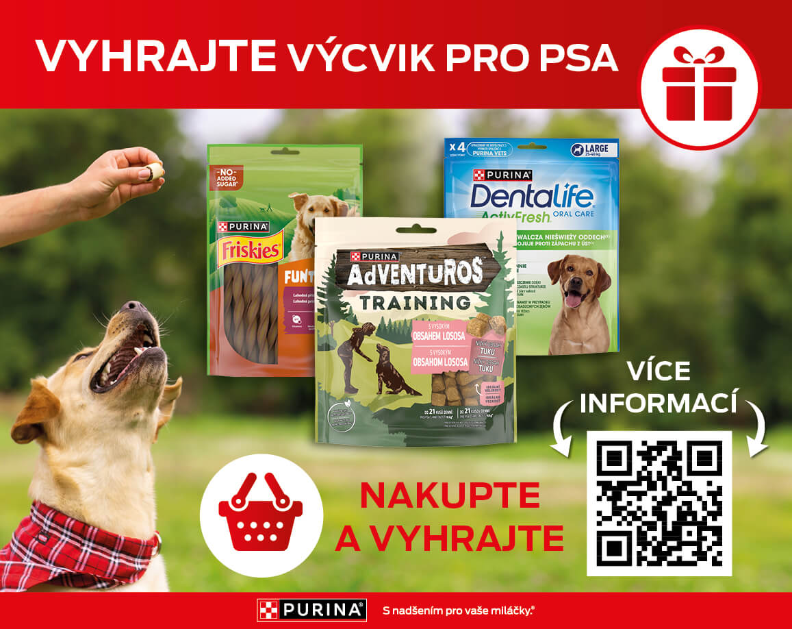 Soutěž Vyhrajte výcvik pro psa