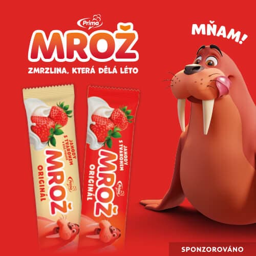Mrož - Zmrzlina, která dělá léto.