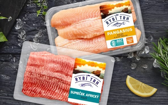 Sumeček africký a Pangasius